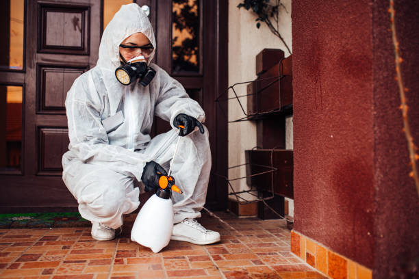 Reliable Cockroach Control contractor in Bardmoor, FL by Nex Pest Control